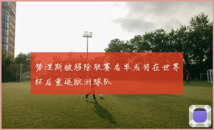 努涅斯被移除联赛名单或将在世界杯后重返欧洲球队