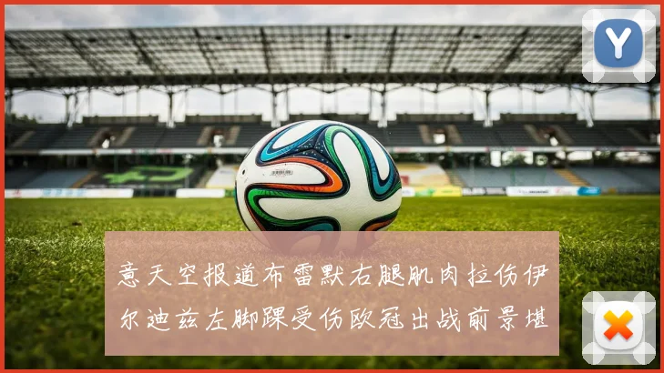 意天空报道布雷默右腿肌肉拉伤伊尔迪兹左脚踝受伤欧冠出战前景堪忧