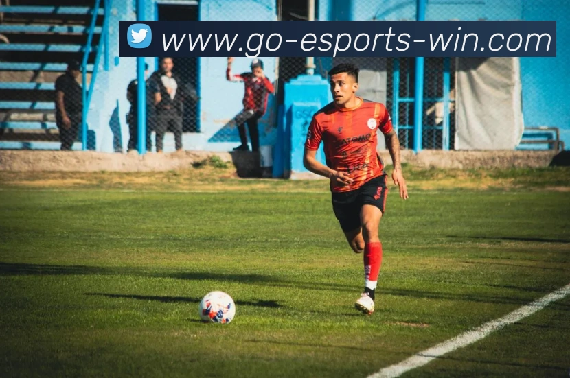 电竞下注平台平台生态图