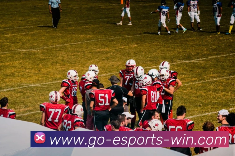 电竞下注平台全站App